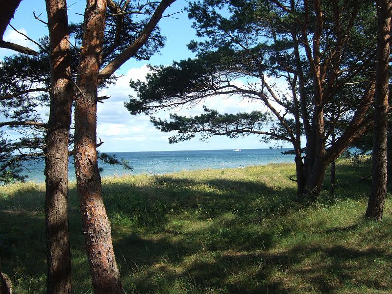 2009-08- (494).JPG - Iim Südosten der Insel: Landschaft bei Baabe